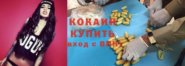 винт Алексин